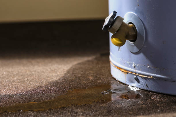 Best Commercial water damage restoration  in East Bakersfield, CA