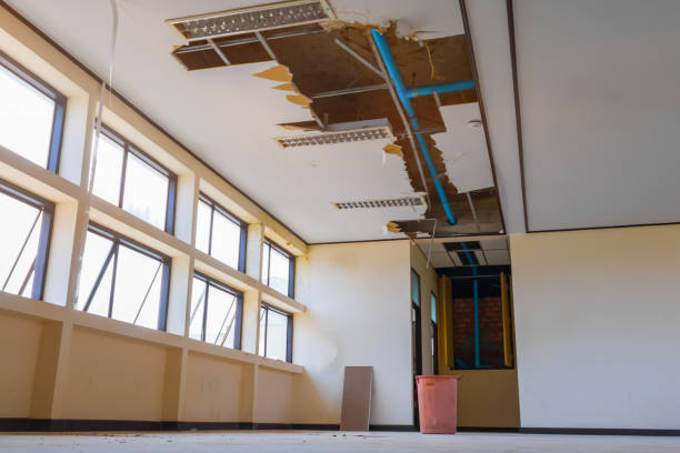 Best Basement water damage restoration  in East Bakersfield, CA