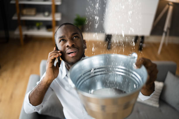 Best Professional water damage repair  in East Bakersfield, CA