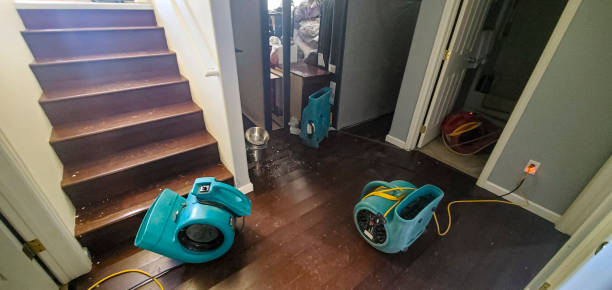 Best Carpet water damage restoration  in East Bakersfield, CA