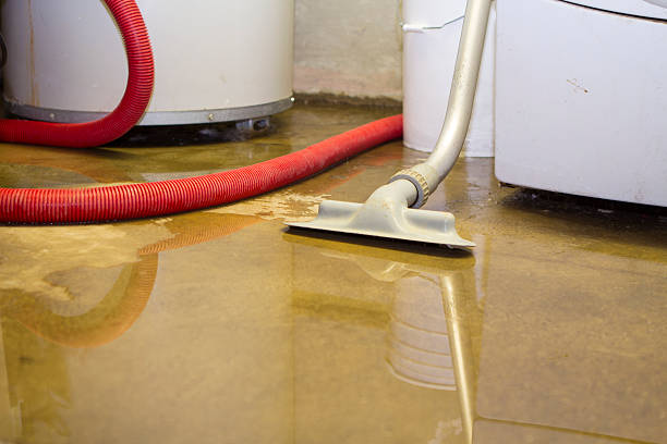 Best 24/7 water damage repair  in East Bakersfield, CA