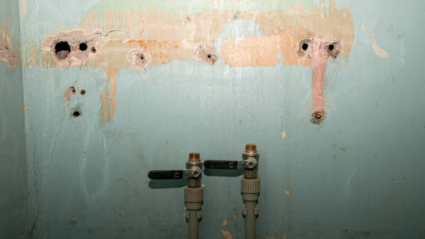 Best Water damage restoration near me  in East Bakersfield, CA